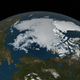 Sea ice is looking rough. Photo credit: NASA Goddard’s Scientific Visualization Studio